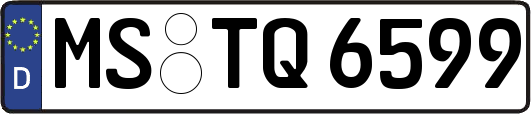 MS-TQ6599