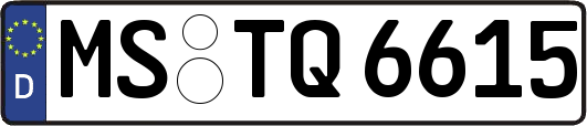 MS-TQ6615