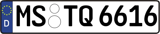 MS-TQ6616