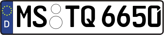 MS-TQ6650