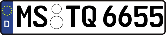 MS-TQ6655