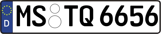 MS-TQ6656