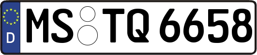 MS-TQ6658