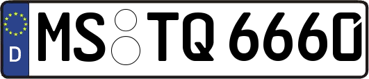 MS-TQ6660