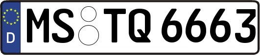 MS-TQ6663