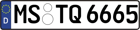 MS-TQ6665