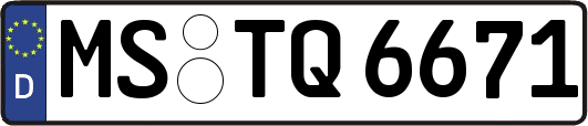 MS-TQ6671