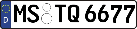 MS-TQ6677