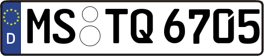 MS-TQ6705