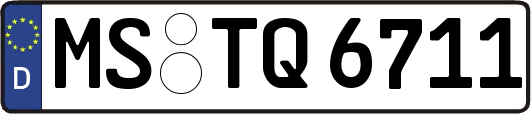 MS-TQ6711