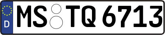 MS-TQ6713