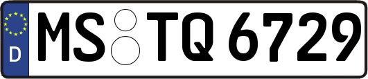 MS-TQ6729