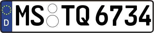 MS-TQ6734