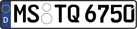 MS-TQ6750