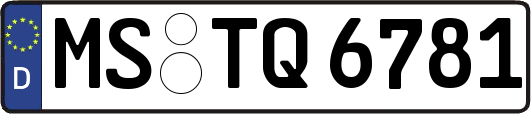 MS-TQ6781
