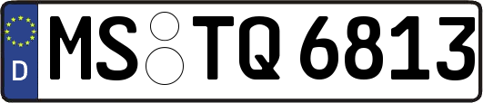 MS-TQ6813