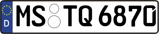 MS-TQ6870