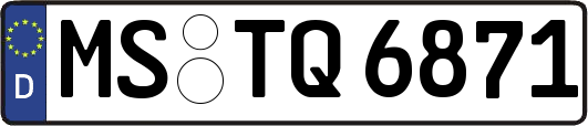MS-TQ6871