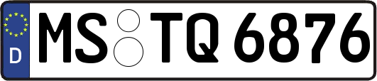 MS-TQ6876