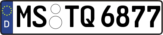 MS-TQ6877