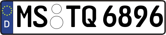 MS-TQ6896