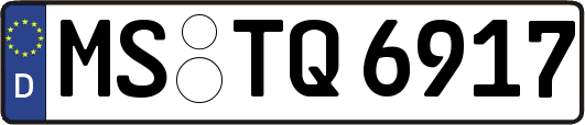 MS-TQ6917