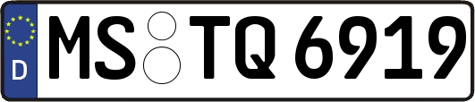 MS-TQ6919