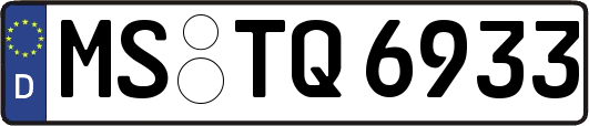 MS-TQ6933