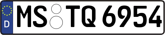 MS-TQ6954