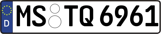 MS-TQ6961