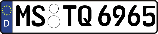 MS-TQ6965