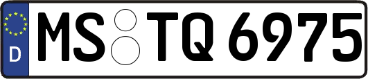 MS-TQ6975