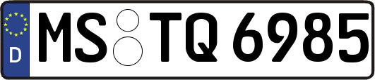 MS-TQ6985