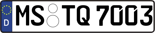 MS-TQ7003