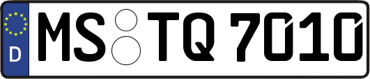MS-TQ7010