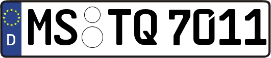 MS-TQ7011