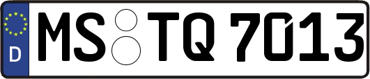 MS-TQ7013