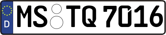 MS-TQ7016