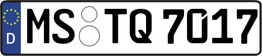 MS-TQ7017