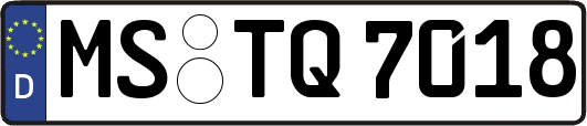 MS-TQ7018