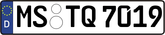 MS-TQ7019
