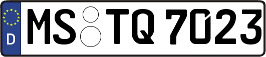 MS-TQ7023
