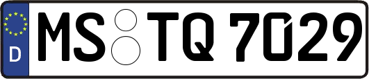 MS-TQ7029