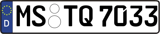 MS-TQ7033