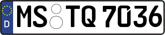 MS-TQ7036