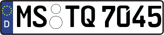 MS-TQ7045