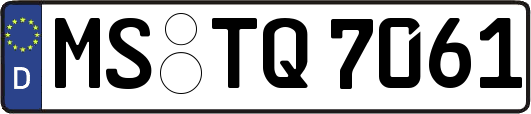 MS-TQ7061