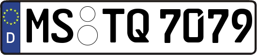 MS-TQ7079