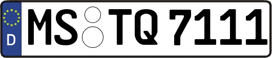 MS-TQ7111