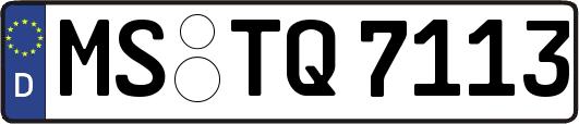 MS-TQ7113